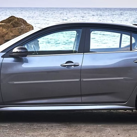 Painted Molding with Chrome Insert : Nissan Sentra Painted
